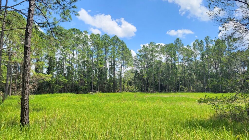 McBride Land & Development Co